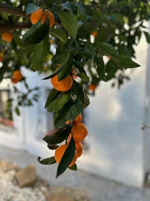 הוילה Orba Casa Lima מראה חיצוני תמונה